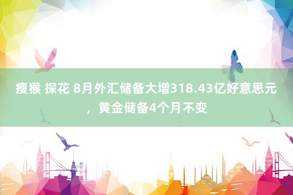 瘦猴 探花 8月外汇储备大增318.43亿好意思元，黄金储备4个月不变