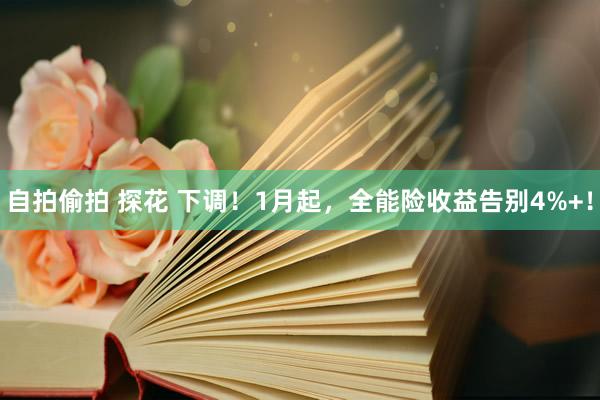 自拍偷拍 探花 下调！1月起，全能险收益告别4%+！