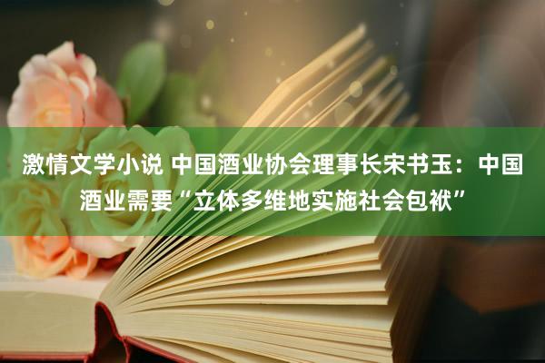 激情文学小说 中国酒业协会理事长宋书玉：中国酒业需要“立体多维地实施社会包袱”