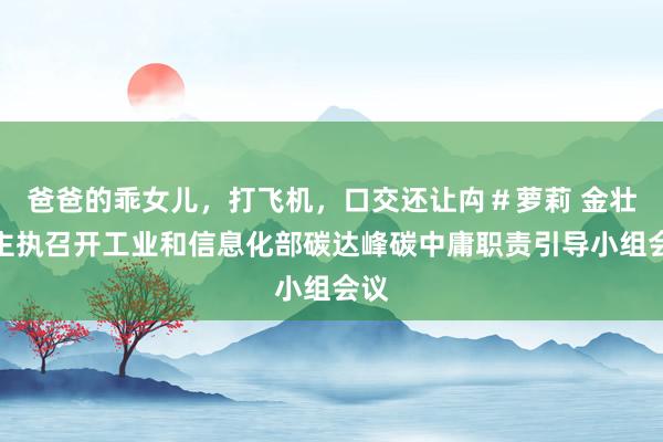 爸爸的乖女儿，打飞机，口交还让禸＃萝莉 金壮龙主执召开工业和信息化部碳达峰碳中庸职责引导小组会议
