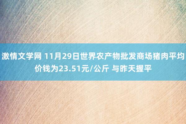 激情文学网 11月29日世界农产物批发商场猪肉平均价钱为23.51元/公斤 与昨天握平