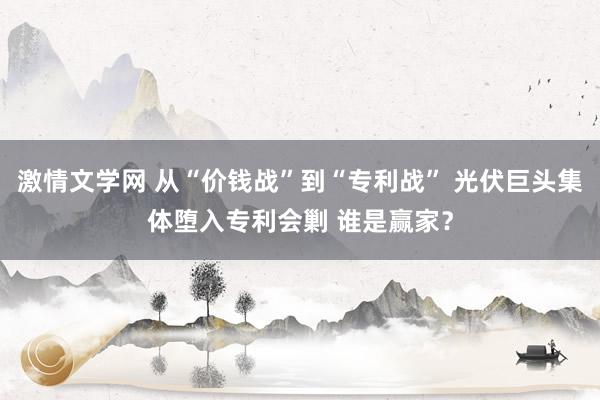 激情文学网 从“价钱战”到“专利战” 光伏巨头集体堕入专利会剿 谁是赢家？