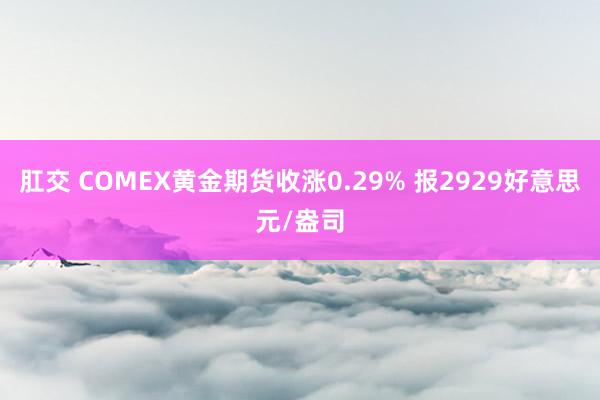 肛交 COMEX黄金期货收涨0.29% 报2929好意思元/盎司
