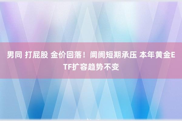 男同 打屁股 金价回落！阛阓短期承压 本年黄金ETF扩容趋势不变