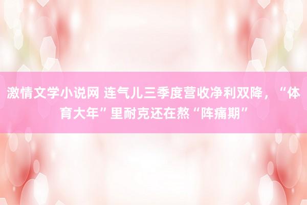 激情文学小说网 连气儿三季度营收净利双降，“体育大年”里耐克还在熬“阵痛期”