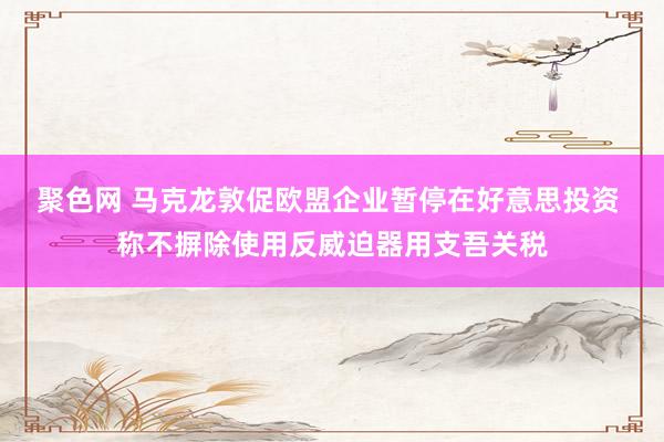 聚色网 马克龙敦促欧盟企业暂停在好意思投资 称不摒除使用反威迫器用支吾关税